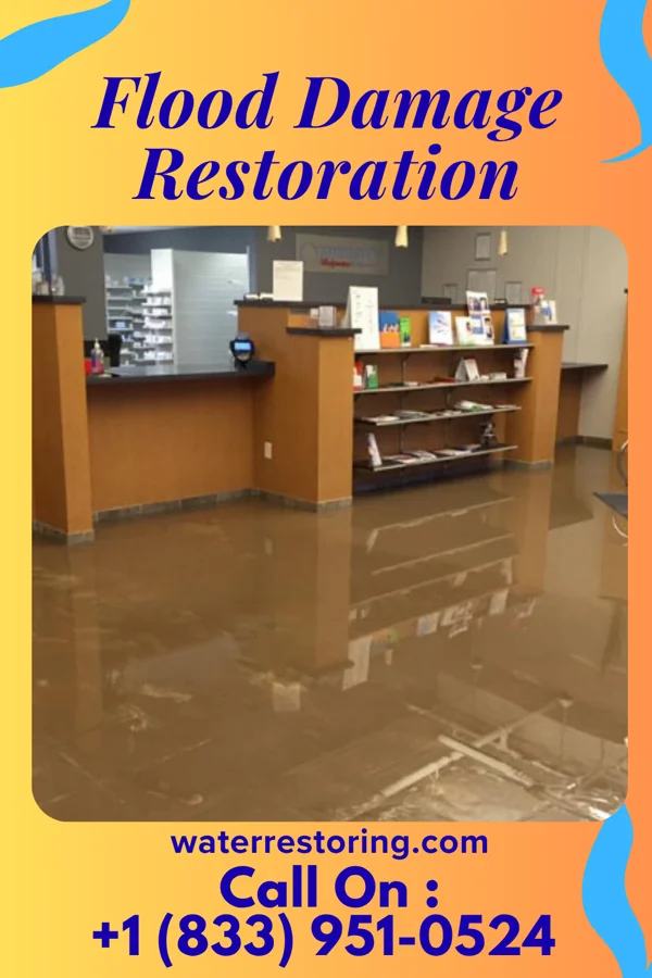 Flood Damage Restoration in Centerville, IN