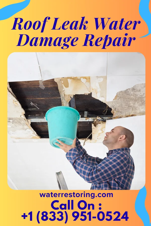Roof Leak Water Damage Repair in Centerville, IN