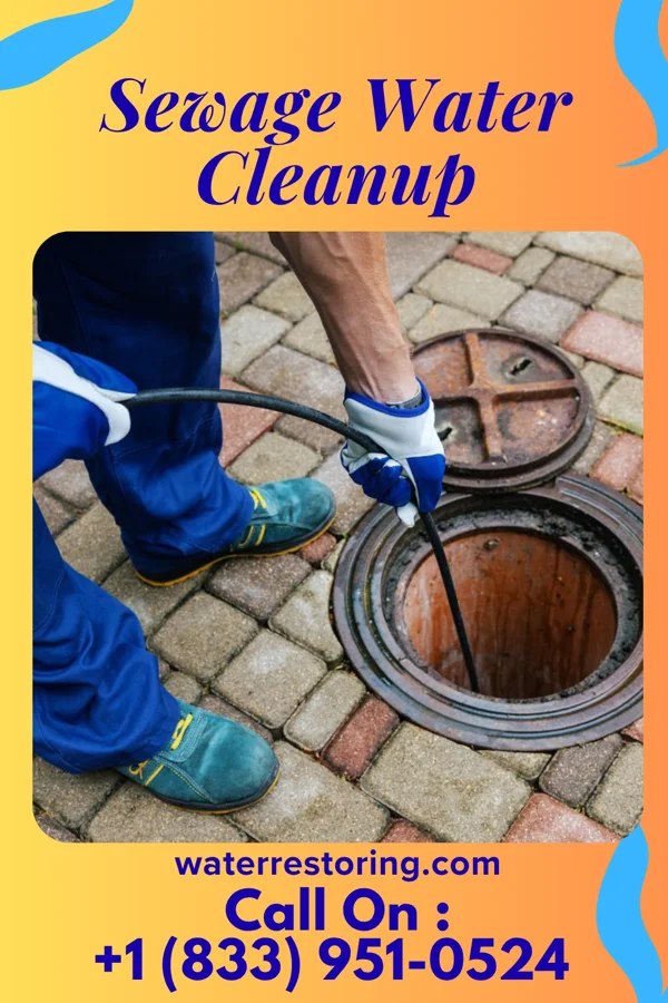 Sewage Water Cleanup in Centerville, IN